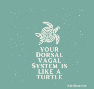 green background with ecru turtle. text reads: your dorsal vagal system is like a turtle