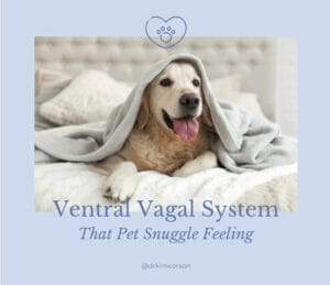 picture of a dog wrapped in a blanket. Text reads: Ventral Vagal System: The Pet Snuggle Feeling